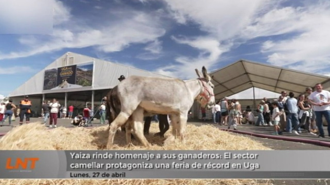 Yaiza rinde homenaje a sus ganaderos con una feria de Récord