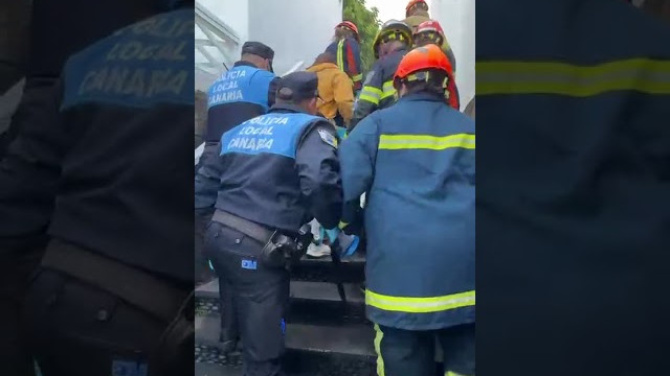 Así recogieron a un delfín varado en Fariones 