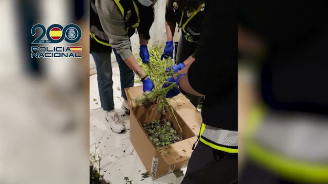  Canarias, clave en una red de extorsión sexual desarticulada por la Policía Nacional con 40 detenidos