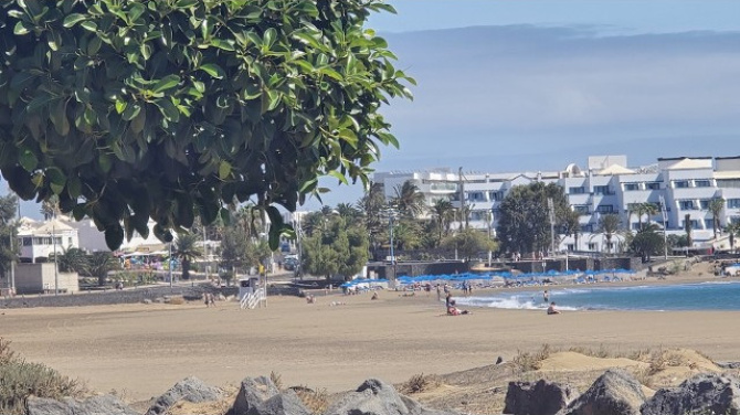 "Sin datos es imposible tomar decisiones": Los municipios turísticos 'mueven ficha'