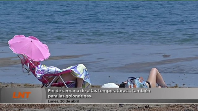 Fin de semana de altas temperaturas... también para las golondrinas
