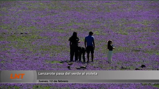 Lanzarote pasa del verde al violeta Lanzarote pasa del verde al violeta