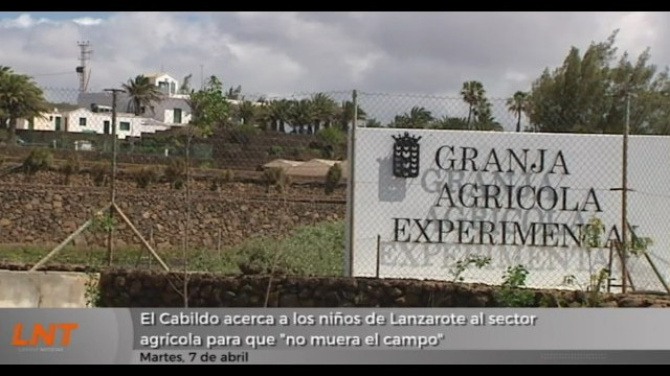 El Cabildo acerca a los niños de Lanzarote al sector agrícola para que "no muera el campo" El Cabildo acerca a los niños de Lanzarote al sector agrícola para que "no muera el campo"