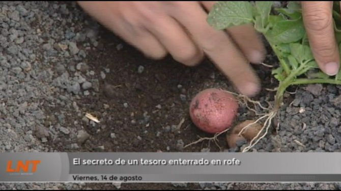 El secreto de un tesoro enterrado en rofe El secreto de un tesoro enterrado en rofe