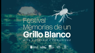 Lanzarote celebra el festival "Memorias de un Grillo Blanco"
