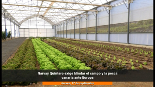 Narvay Quintero exige blindar el campo y la pesca canaria ante Europa