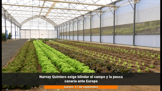 Narvay Quintero exige blindar el campo y la pesca canaria ante Europa Narvay Quintero exige blindar el campo y la pesca canaria ante Europa