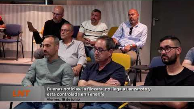 La filoxera no llega a Lanzarote La filoxera no llega a Lanzarote
