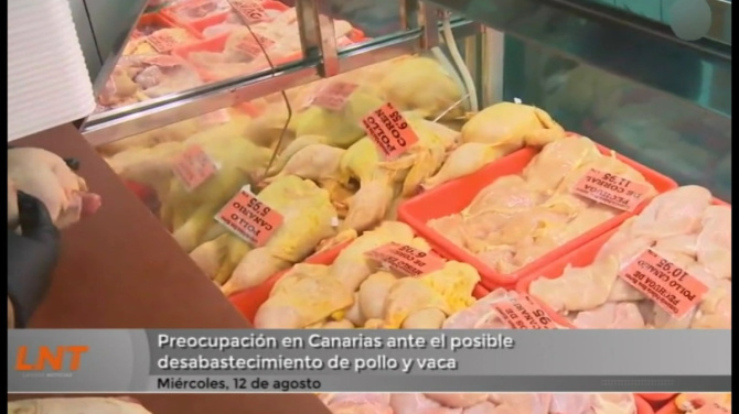 Preocupación en Canarias ante el posible desabastecimiento de pollo y vaca Preocupación en Canarias ante el posible desabastecimiento de pollo y vaca