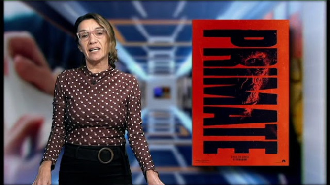 ¿Qué planes tienes entre el jueves 5 al domingo 8 de febrero?