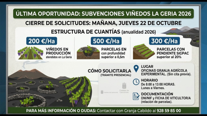 Últimas 24 horas para solicitar las ayudas a la viña en La Geria