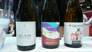 La WineMad, el gran escaparate también para las pequeñas bodegas