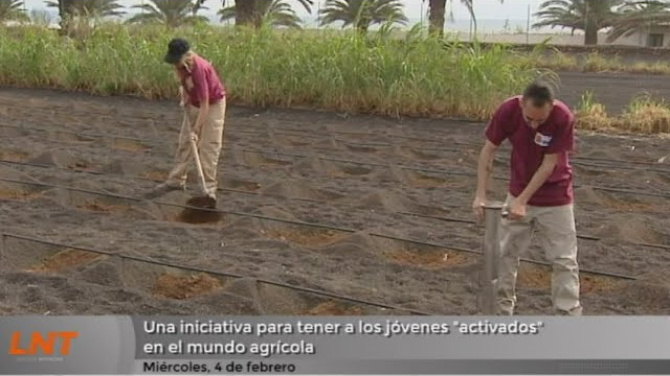 Una iniciativa para tener a los jóvenes "activados" en el mundo agrícola