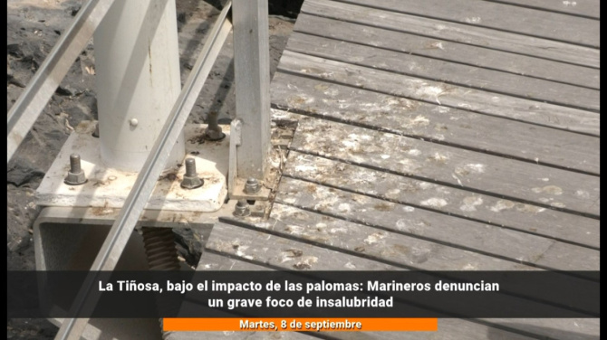 Las palomas toman La Tiñosa y los marineros piden una solución urgente