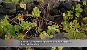 ¿Qué tiempo hará este jueves 5 de febrero?