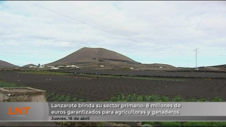 Lanzarote blinda su sector primario: 8 millones de euros garantizados para agricultores y ganaderos Lanzarote blinda su sector primario: 8 millones de euros garantizados para agricultores y ganaderos
