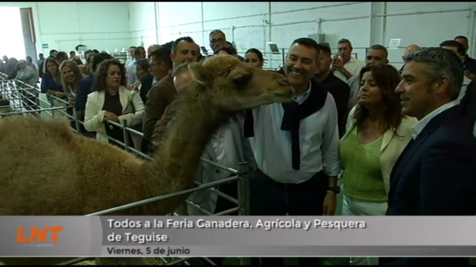 Todos a la Feria Ganadera, Agrícola y Pesquera de Teguise